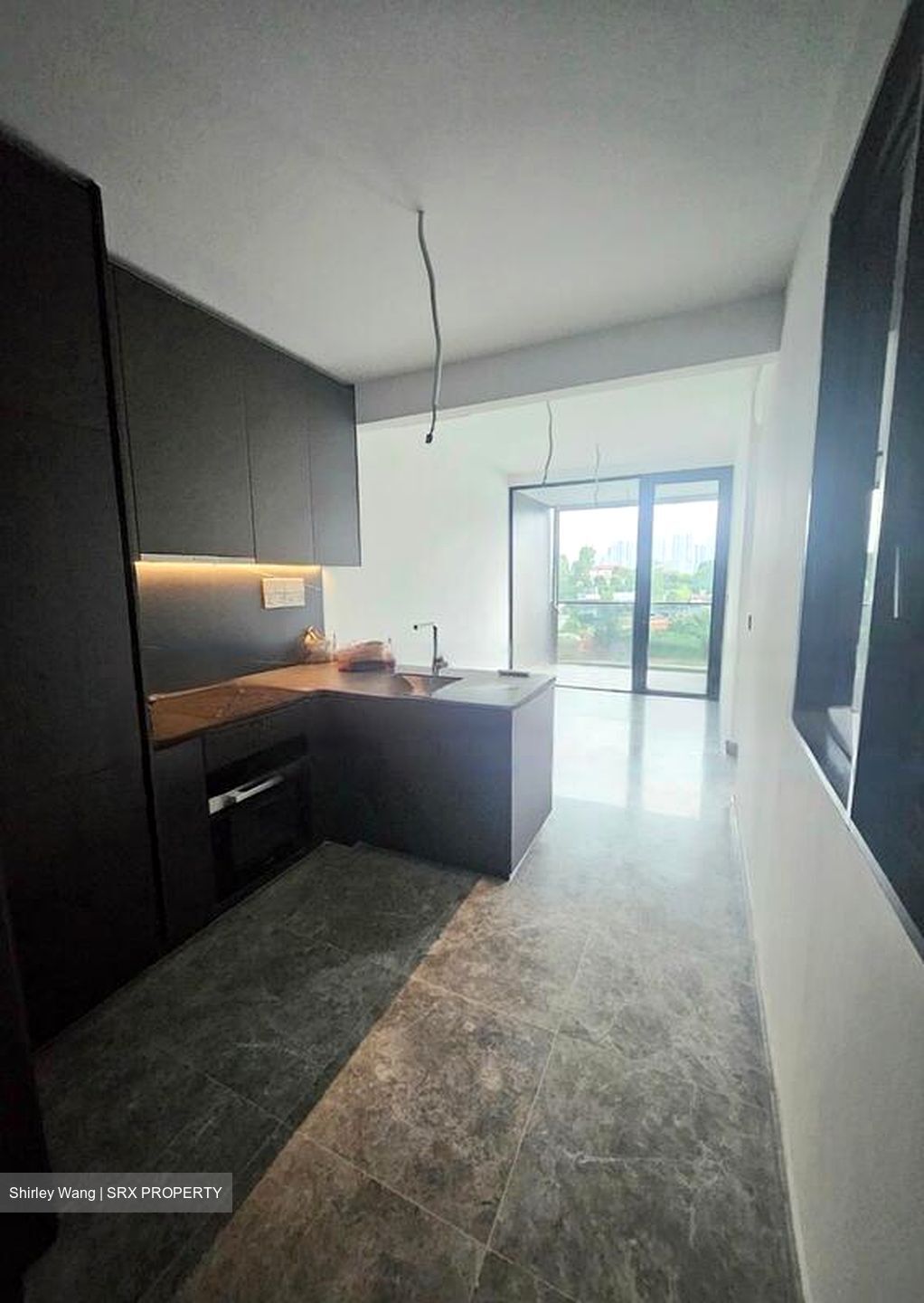 Hyll On Holland (D10), Condominium #462074051